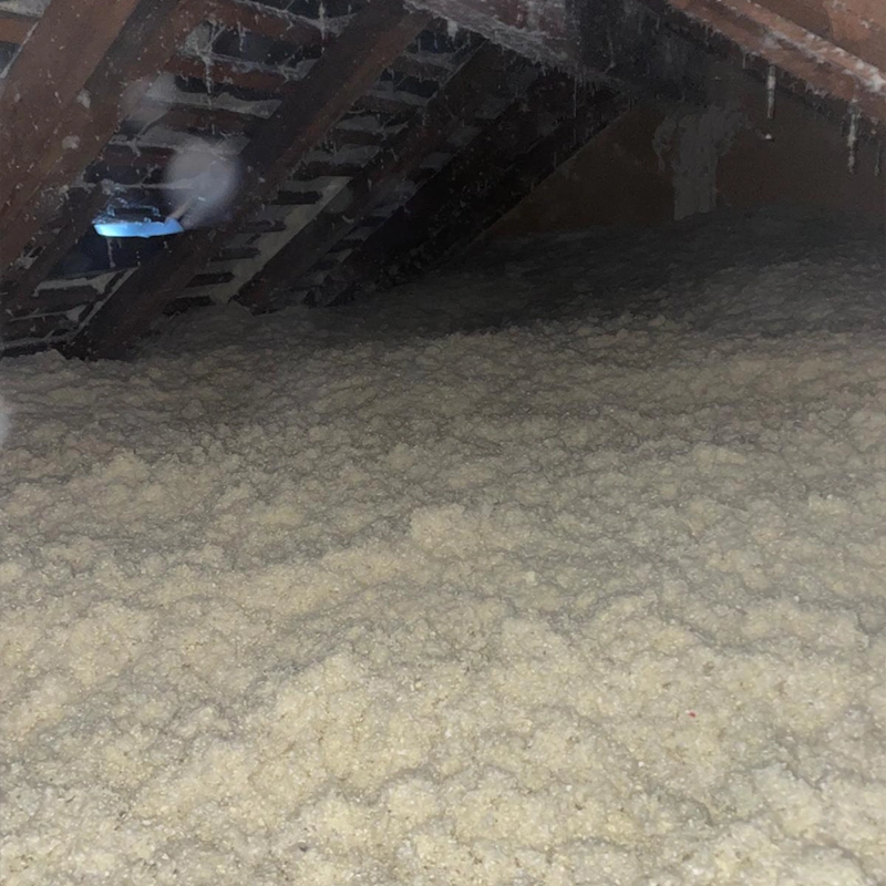 Zoom sur ouate de cellulose, isolant