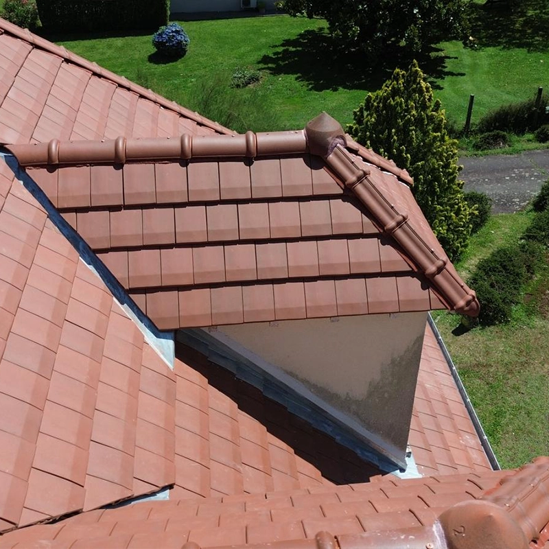 Zoom sur la toiture d'une fenêtre en tuile